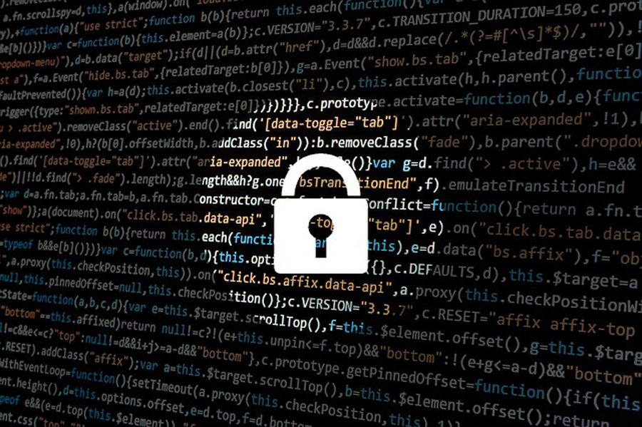 Specialista della gestione e sicurezza delle reti informatiche