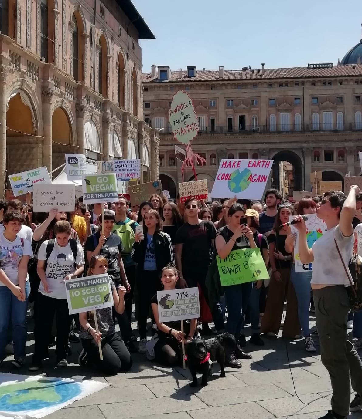 manifestazione fridays for future 24 maggio 2019