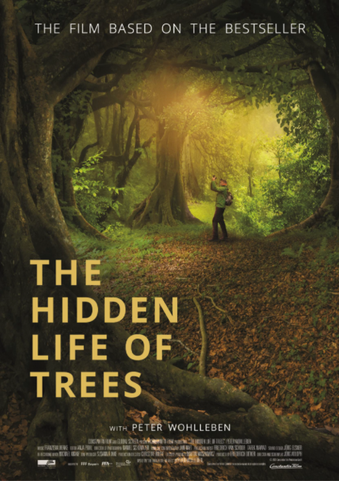 The-hidden-lfe