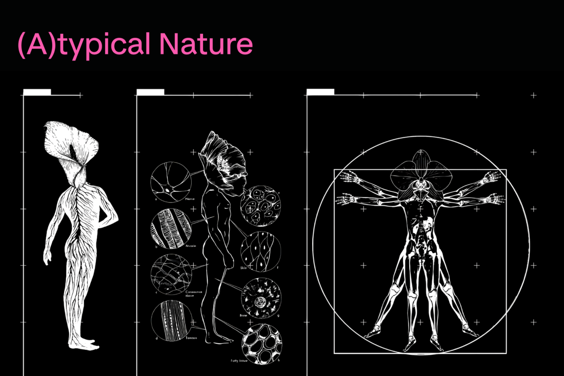 Atypical nature mostra faenza