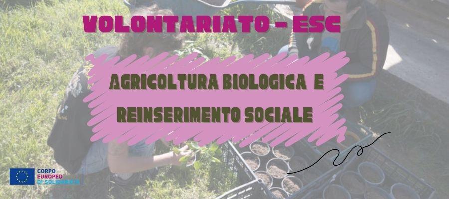volontariato agricoltura e reinserimento sociale 
