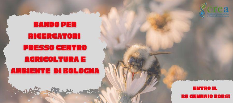 ricercatori agricoltura e ambiente (api)