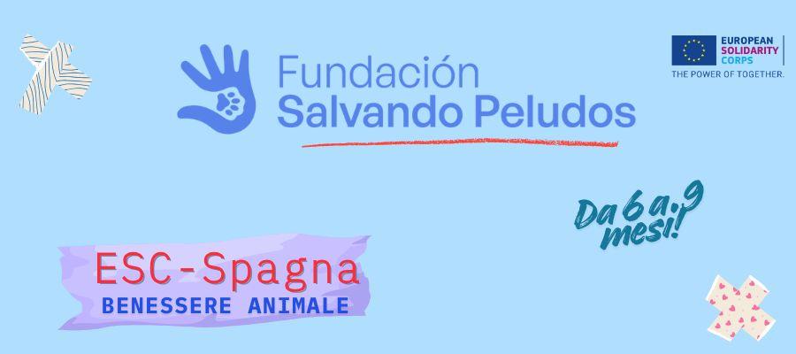ESC spagna Fundacion Salvando Peludos 