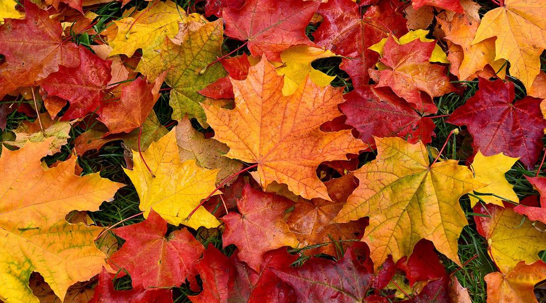 autunno