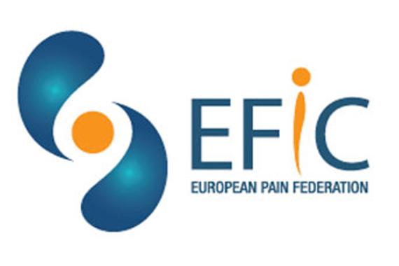 Stage EFIC Bruxelles