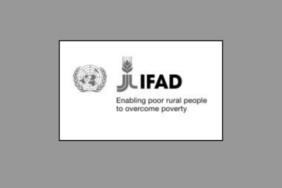 ifad-internship