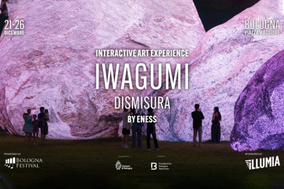 foto delle pietre dell'iwagumi