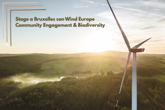T Stage a Bruxelles con Wind Europe Community Engagement & Biodiversity.png