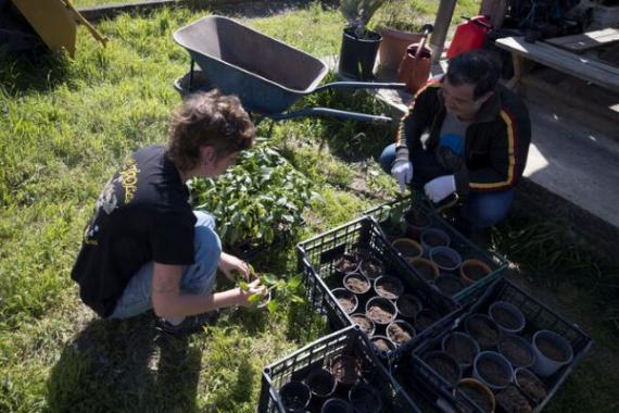 volontariato agricoltura e reinserimento sociale 