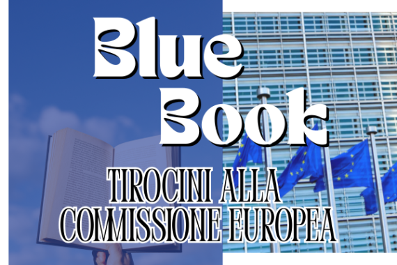 tirocinibluebookcommissioneeuropea