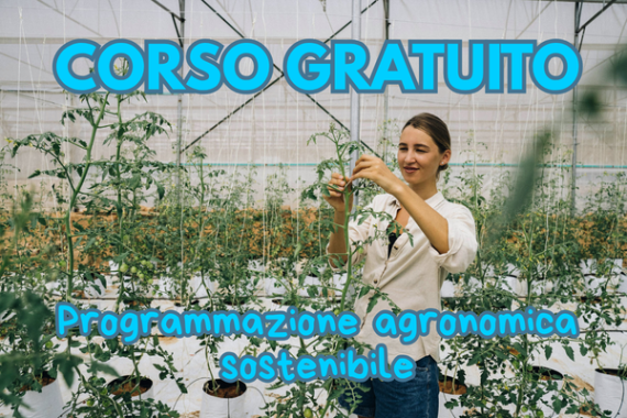 ragazza in una serra