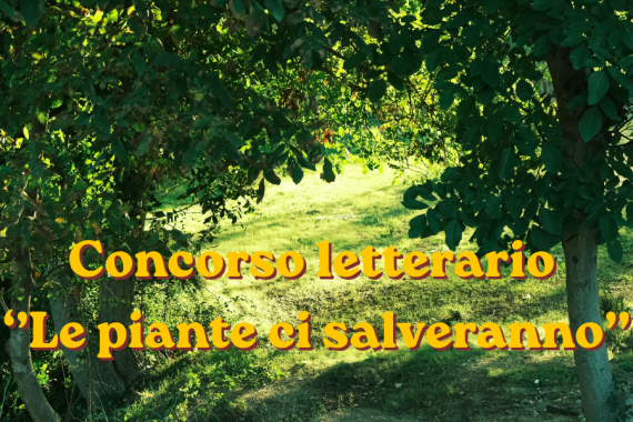 alberi con scritto concorso letterario ''le piante ci salveranno''