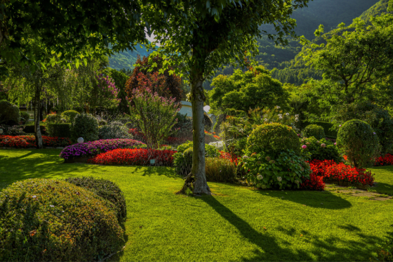 giardino