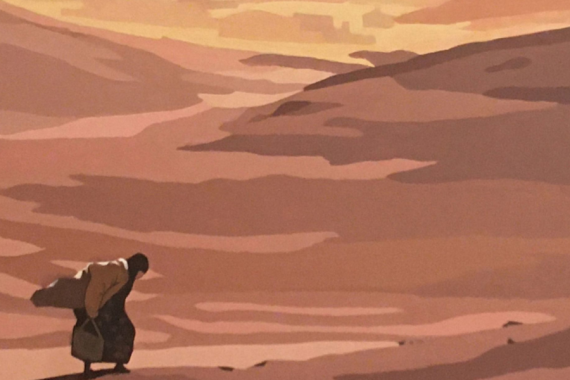grafica mostra l'arduo cimento