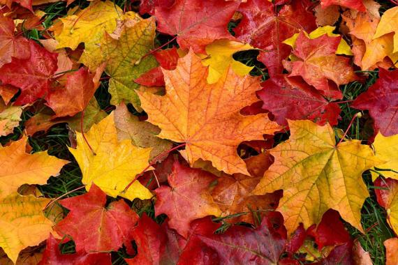 autunno